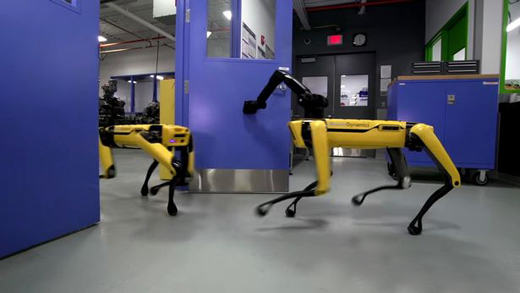Robot dog 